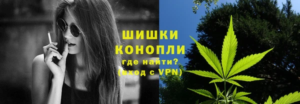 ПСИЛОЦИБИНОВЫЕ ГРИБЫ Семилуки