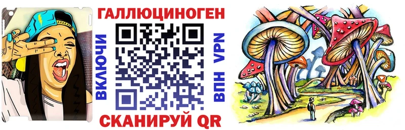 Псилоцибиновые грибы Psilocybe  где продают наркотики  Чудово 